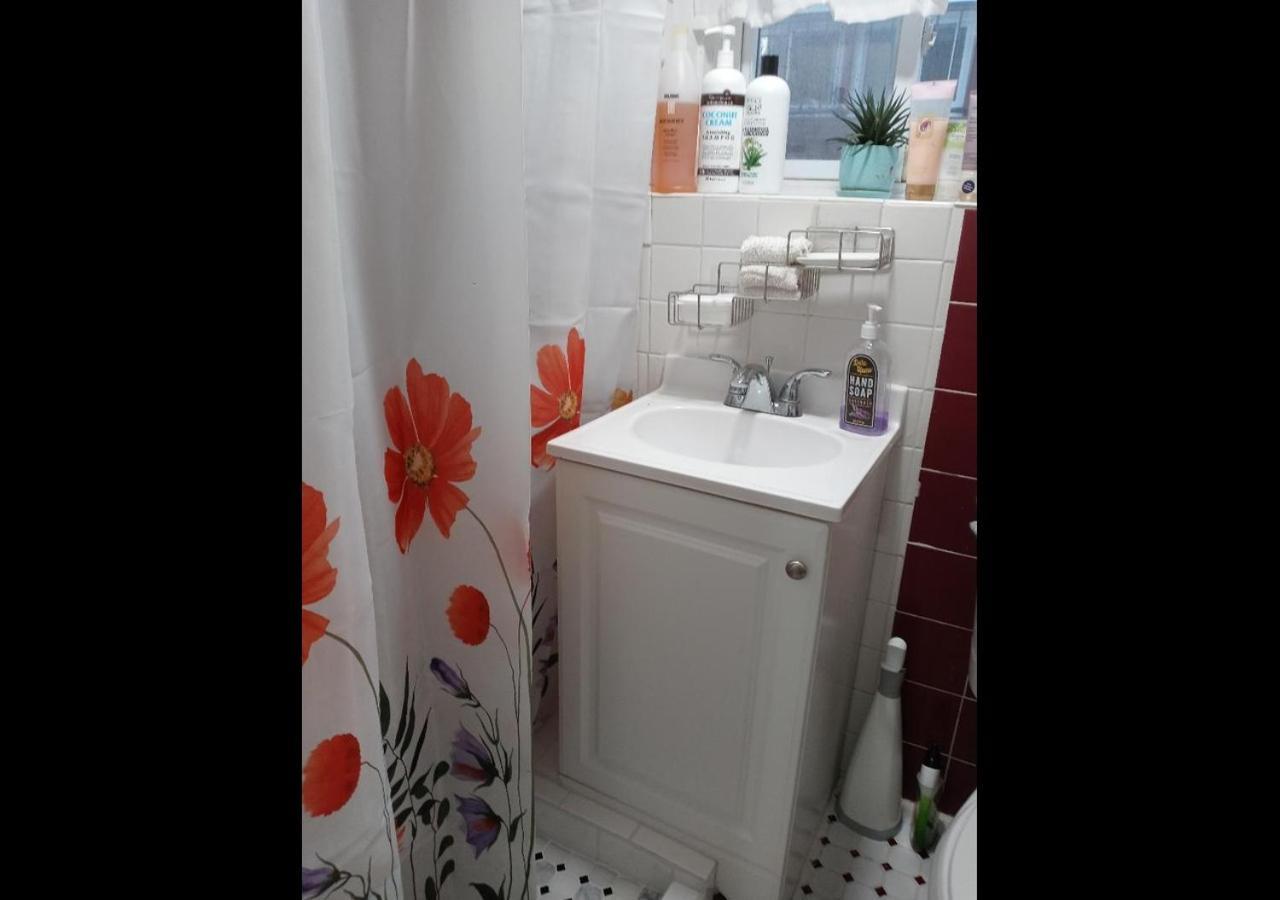 アーヴィントン"Cozy Basement Retreat Just 40 Minutes To Nyc!"アパートメント エクステリア 写真